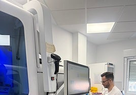 Detectada circulación del virus del Nilo en mosquitos en la pedanía de Tahivilla en Tarifa