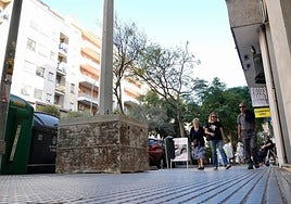 Cádiz comienza a preparar su iluminación de Navidad: «Viene más fuerte que el año pasado»