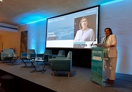 La Junta «va a seguir apostando» por la continuidad de la SailGP y el South Series en Cádiz