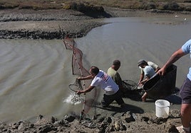 El despesque, una técnica de pesca ancestral que se mantiene viva en Chiclana