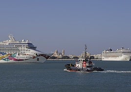 Más de 10.600 cruceristas llegarán entre el domingo y el lunes a Cádiz