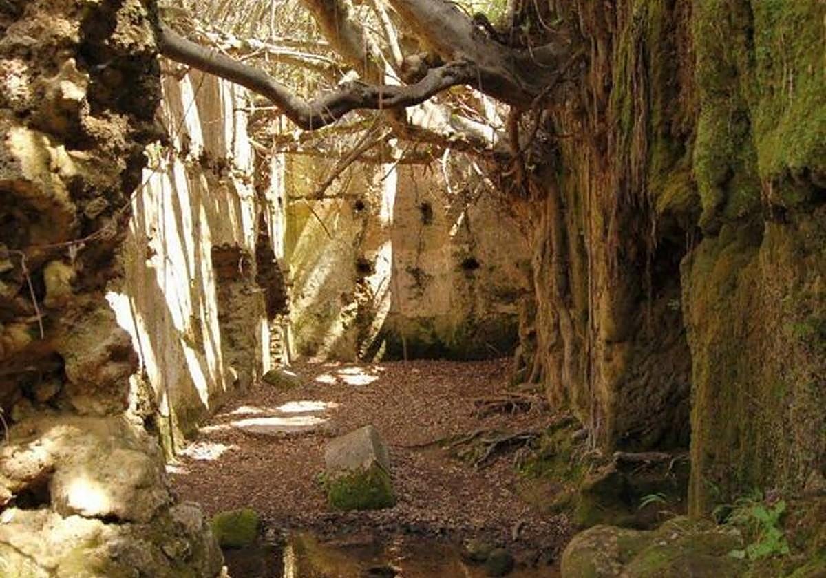 Imagen del Molino del Susto