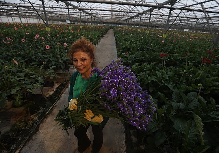 El secreto de Chipiona: así se convirtió este pueblo de Cádiz en el 'jardín de España' que exporta flores a todo el mundo