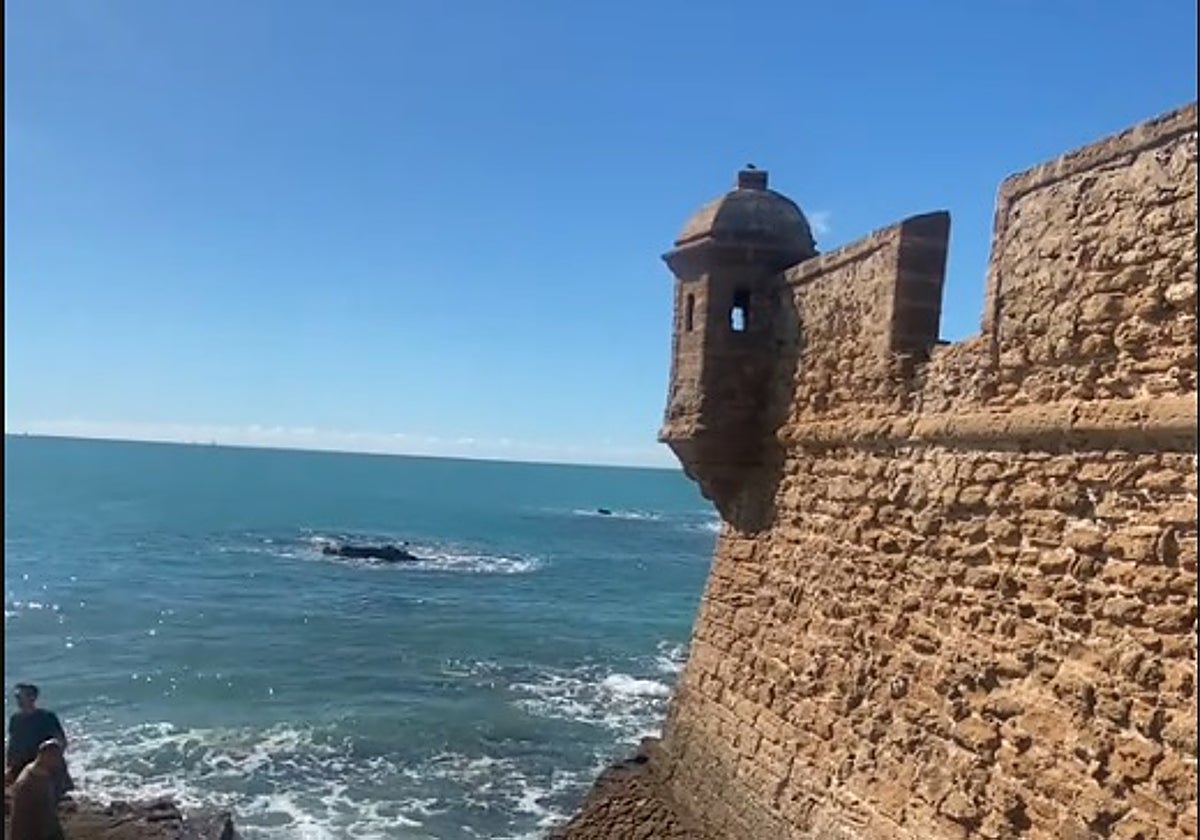 Un argentino visita Cádiz y recomienda visitar este lugar: «Si no tienes plan este finde te lo recomiendo»