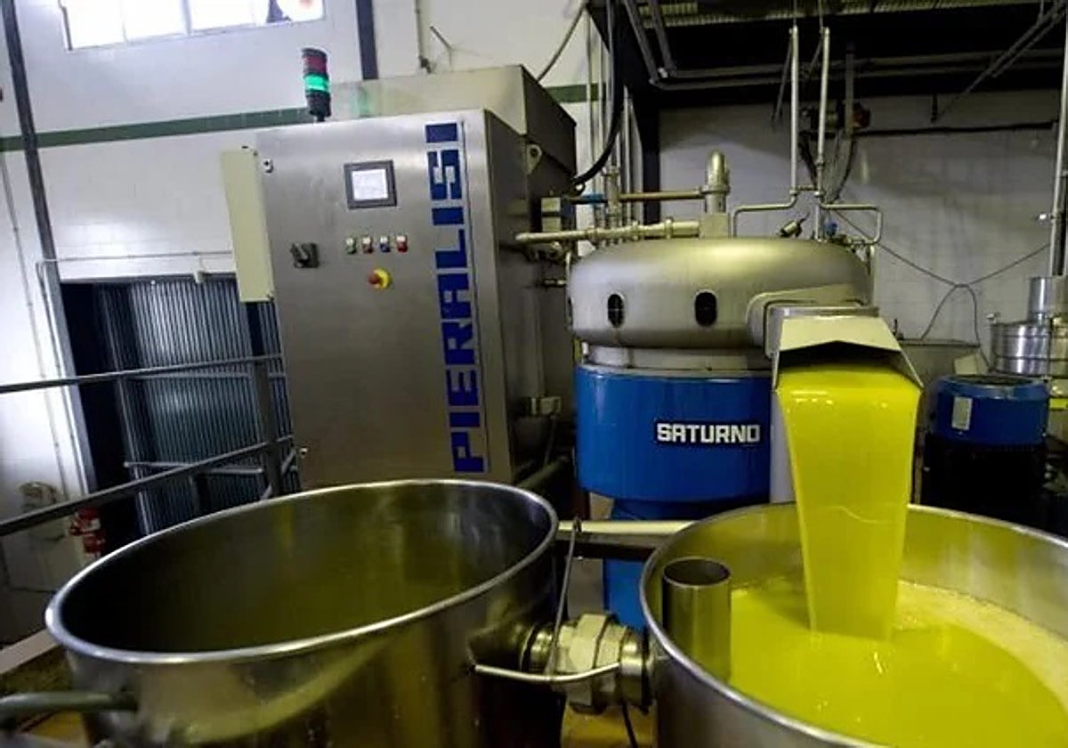 Imagen del tratamiento del aceite en una almazara