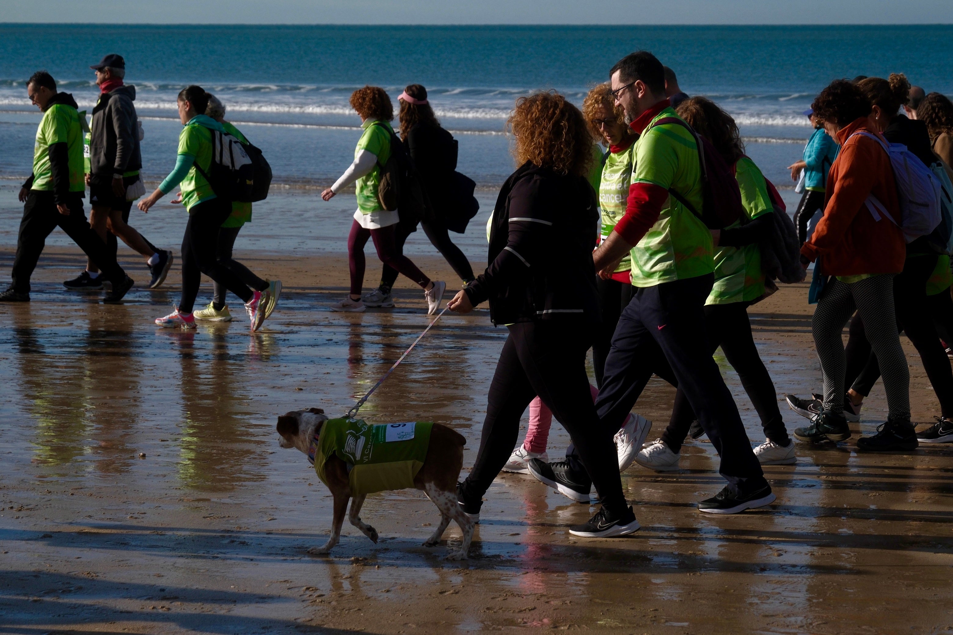 Más de 5.000 personas participan en la XI Carrera Cádiz en Marcha Contra el Cáncer