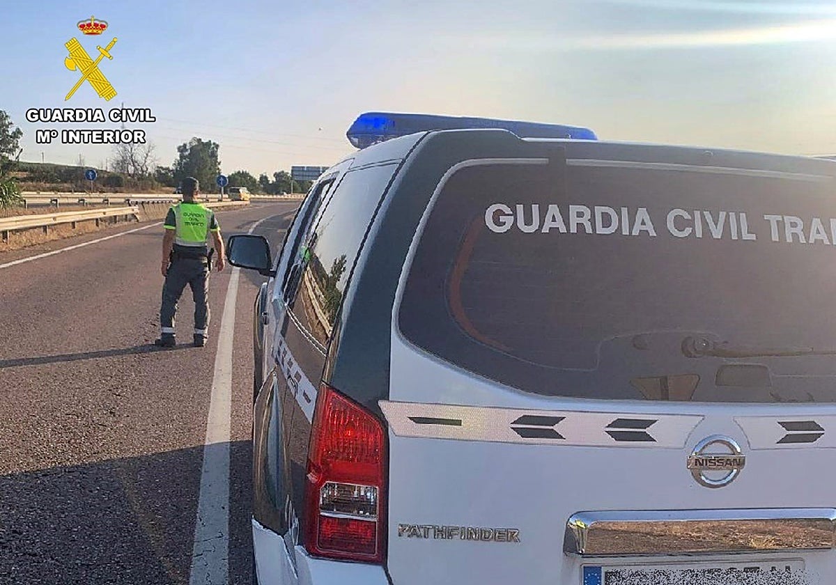 Detenido el conductor de un vehículo con 41 kilos de hachís por la A-7 a la altura de San Roque