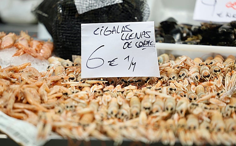 Imagen principal - El Mercado Central de Abastos de Cádiz comienza a prepararse para las compras de cara a la Nochebuena.