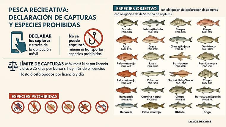 Nueva normativa de pesca recreativa