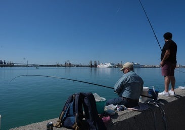 Pesca recreativa: cómo registrarse, qué especies puedes pescar y cuáles están prohibidas desde el 10 de enero