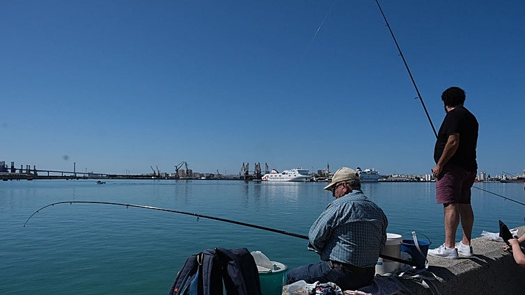 Pesca recreativa en Andalucía: cómo registrarse, qué especies puedes pescar y cuáles están prohibidas desde el 10 de enero