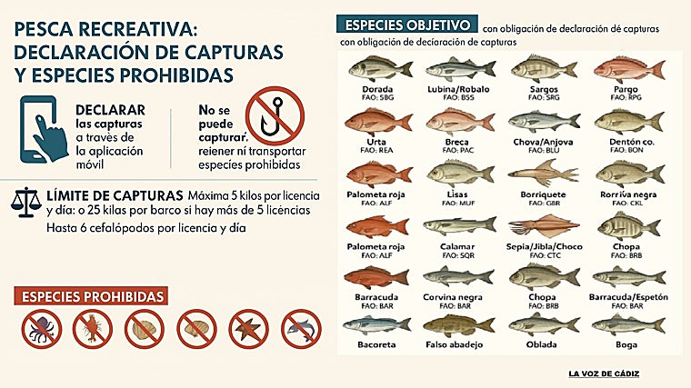 Capturas que habrá que registrar en la nueva normativa de la pesca recreativa en Andalucía.