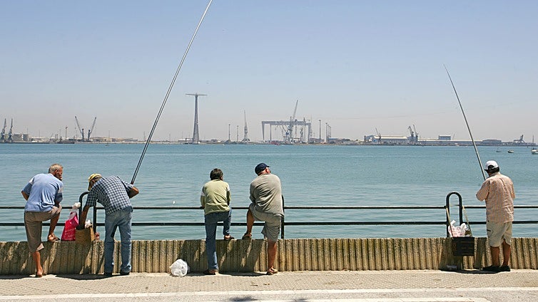 Nueva normativa de pesca recreativa: Dorada, pargo, urta o borriquete,  las especies de Cádiz que habrá que registrar