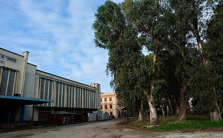 Imagen principal - La Ciudad de la Justicia de Cádiz se construirá en los antiguos depósitos de tabaco