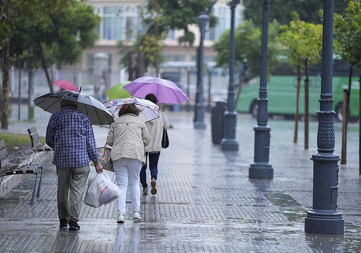 Noviembre cálido en Cádiz: 16,7 grados de temperatura media