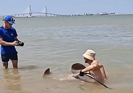 Un pescador captura este pez gigante en una playa de Cádiz: «¡Por fin conseguí sacar una!»