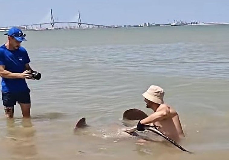 Un pescador captura este pez gigante en una playa de Cádiz: «¡Por fin conseguí sacar una!»