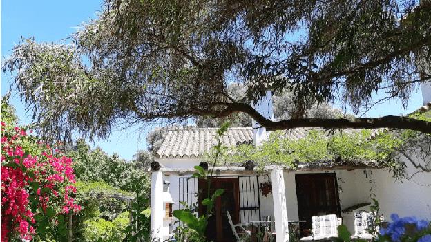 Bungalows en Cádiz