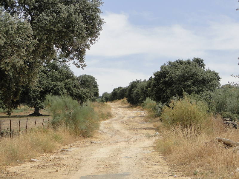 Las mejores rutas de senderismo para hacer en Cádiz: ¿cuántos kilómetros tienen?