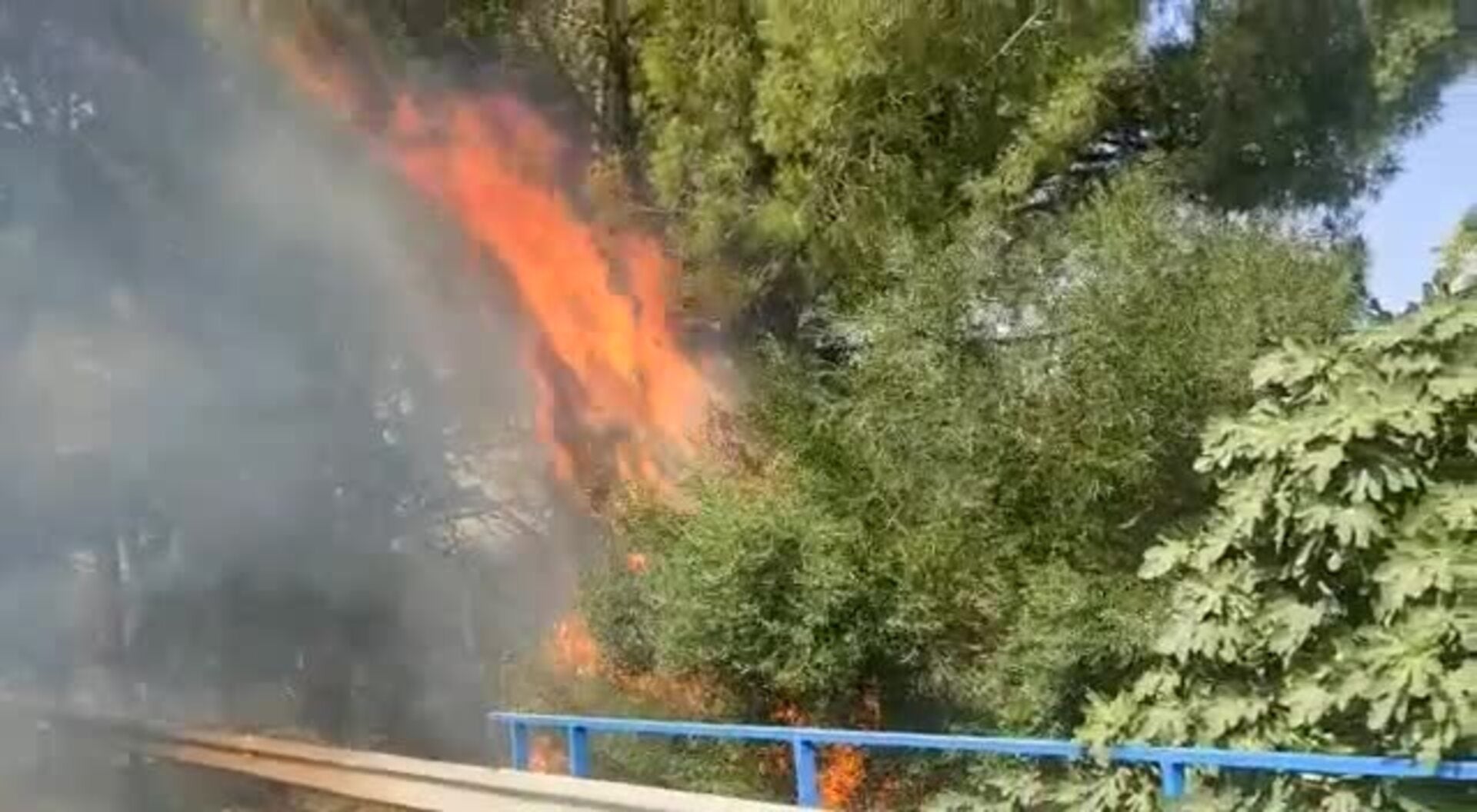 Incendio cerca de la Cartuja de Jerez