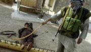 Soldados de la Alianza del Norte muestran un instrumento de castigo utilizado por los talibanes.Ap