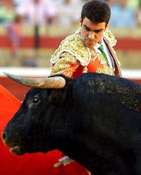 José Tomás