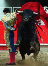 Cronología de una carrera