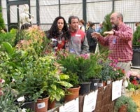 Uno de los puesto de plantas instalado en Floraurbana. NURIA PÉREZ CAMPAÑA