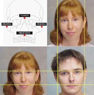 La selección sexual «dibujó» la forma del rostro humano a lo largo de la evolución