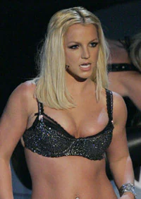 200px x 282px - Roban en casa de Britney Spears su colecciÃ³n de videos porno