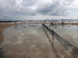 Así quedó el paseo marítimo de Melilla ayer, tras las trombas. /EFE