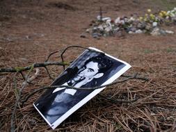 «Hurgar en la fosa de mi tío Federico García Lorca es una profanación»