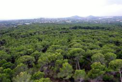 Un juez investiga sobornos a funcionarios autonómicos para obtener recalificaciones