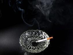 Una sentencia anula el decreto antitabaco de Aguirre