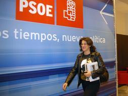 Sesenta diputados se quedan sin viaje a La Palma para estudiar el cultivo del plátano