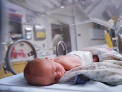 La mayoría de los norteamericanos rechazan el aborto