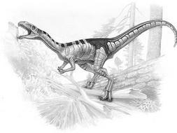 Reconstrucción de Masiakasaurus knoplferi