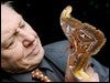 El científico naturalista David Attenborough. / Archivo