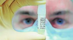 Cobayas para el H1N1