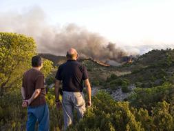 Críticas a Defensa por el fuego que arrasó en Zaragoza 6.200 hectáreas