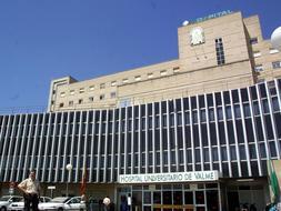 Una mujer de 50 años, segunda fallecida por gripe A en Andalucía