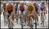 Greipel acaba con el último lince