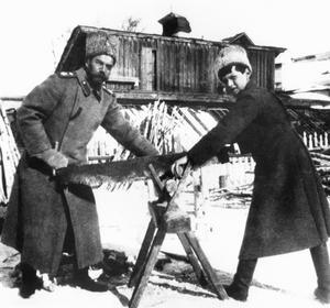 Los Romanov piden la reapertura de la investigación de la muerte de Nicolás II