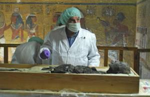 «Tutankamón no era hijo de Nefertiti»