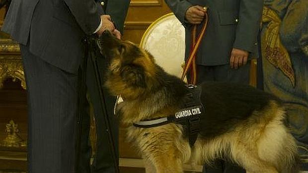 Ajax, durante su recepción con el Rey Juan Carlos I / ABC