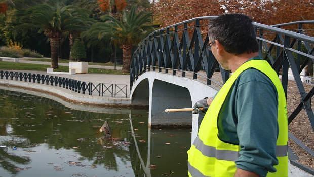 Una de las atracciones infantiles ha acabado en mitad del estanque