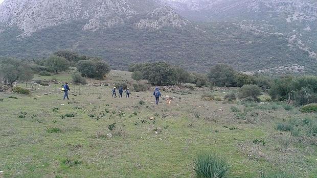 La búsqueda de Marisol Coronil se está haciendo campo a través en el Parque Natural de los Alcornocales