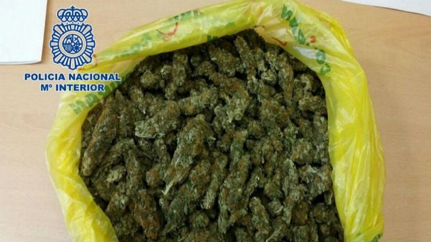 En su última operación en Granada, la Policía ha detenido a un individuo con más de 2 kilos de marihuana