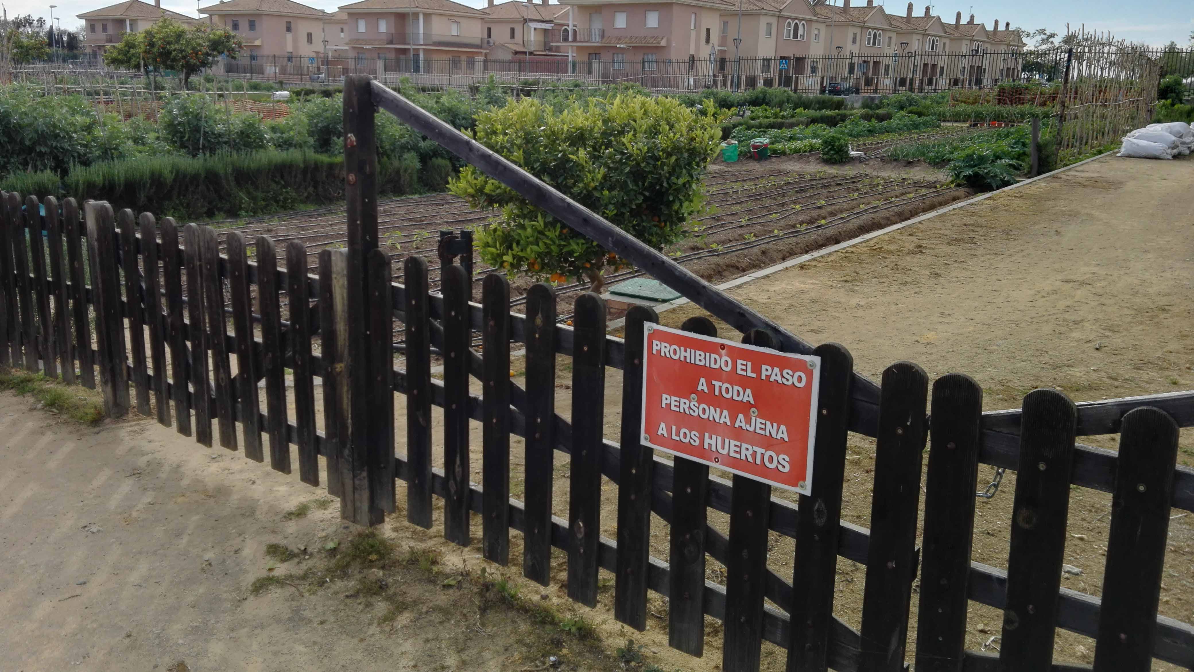 Los huertos sociales del parque del V Centenario de Utrera