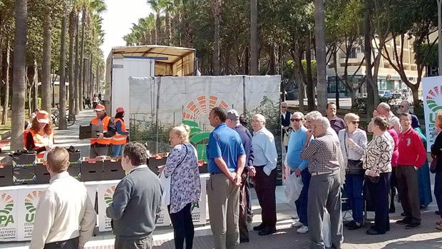 Reparto de tomates y berenjenas en la Rambla de Almería